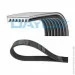   Dayco 7PK2872