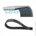   Dayco 8PK1230