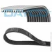   Dayco DAY10PK1705HD (10PK1705HD)