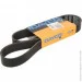   Dayco DAY8PK1300HD (8PK1300HD)
