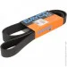   Dayco DAY8PK1875HD (8PK1875HD)