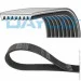   Dayco DAY8PK2515HD (8PK2515HD)