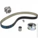   Dayco KTBWP3423