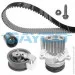   Dayco KTBWP3423