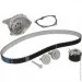   Dayco KTBWP5320