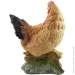 -  Decoline      321439  F5043(P)