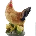 -  Decoline      321439  F5043(P)