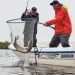 Deeper  Smart Sonar PRO (ITGAM0302)