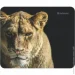    Defender Wild Animals ( ) (50803)