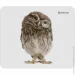    Defender Wild Animals ( ) (50803)
