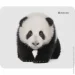    Defender Wild Animals ( ) (50803)