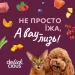 Влажный корм Delickcious Корм влажный Полоски с уткой и тыквой в крем-супе 85 г Влажный корм Delickcious Корм влажный Полоски с уткой и тыквой в крем-супе 85 г
