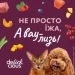 Delickcious     