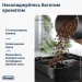  Delonghi ECAM 310.60 GB
