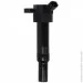   Delphi GN10633-12B1 (GN1063312B1)