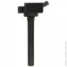   Delphi GN11019-12B1 (GN1101912B1)