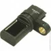  Delphi SS10818