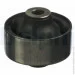  Delphi TD1098W