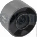  Delphi TD343W