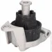   Delphi TEM091