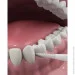   - DenTek   150 . (047700019055)