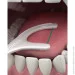   - DenTek   150 . (047700019055)