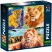  De.Tail Lion family (DT1000-01)