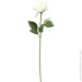   Devilon   , 54 , 