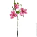   Devilon    55   Home Seasons Decor