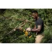    Dewalt DCMPS520P1
