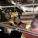   Dewalt DCS367NT