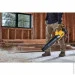   Dewalt DCMBL562P1