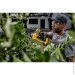   Dewalt DCMPP568P1