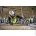   Dewalt DCS579NT (   )