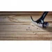    DeWALT "CURVE-CLAW", ,   454 ,   . (DWHT51002-0)