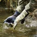 Dexshell   Drylite Gloves, - M,  (DG9946RTCM)