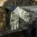 Dexshell   Drylite Gloves, - S,  (DG9946RTCS)