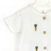 Dexter'S   Carrots .62  432391