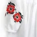  Dexter'S   Embroidered Beauty .104  d1119-3