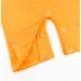 Dexter'S ϳ   Shark .80  d145-