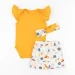 Dexter'S        Shell  .74 d125-