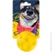 DGT    '  PET2