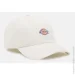 Dickies  HARDWICK DK0A4TKVC581 os 