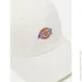 Dickies  HARDWICK DK0A4TKVC581 os 