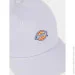 Dickies  HARDWICK DK0A4TKVH181 os 