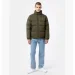  Dickies Waldenburg Olive (DK0A4XP2MGR1-M)