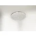      Xiaomi DiiiB Shower Head Silver DXC50001-1001 (DXC50001-1001)