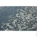Dinastia      717DN97 1,06x10,05 