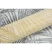 Dinastia      835DN31 1,06x10,05 