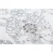 Dinastia      857DN57 1,06x10,05 
